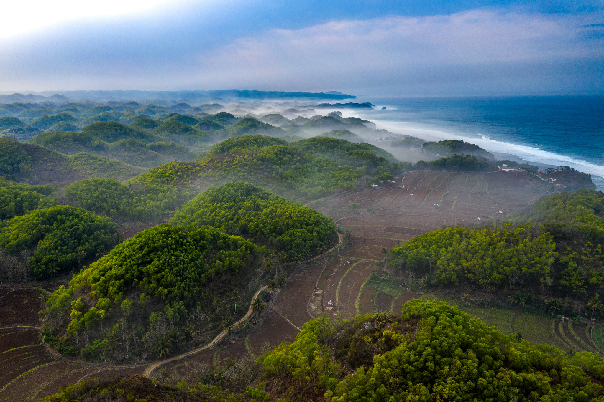 Hutan Tersembunyi: Dunia Air Bawah Tanah
