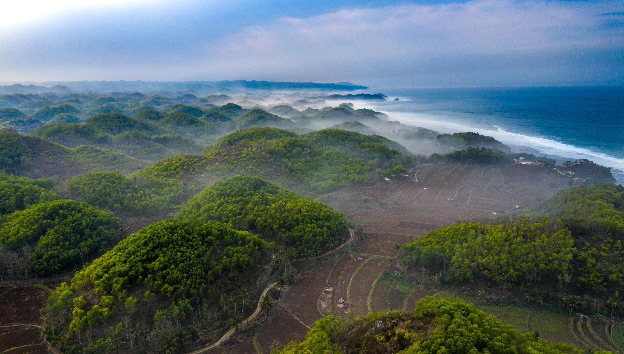 Indonesia’s secret forests: Underground water world