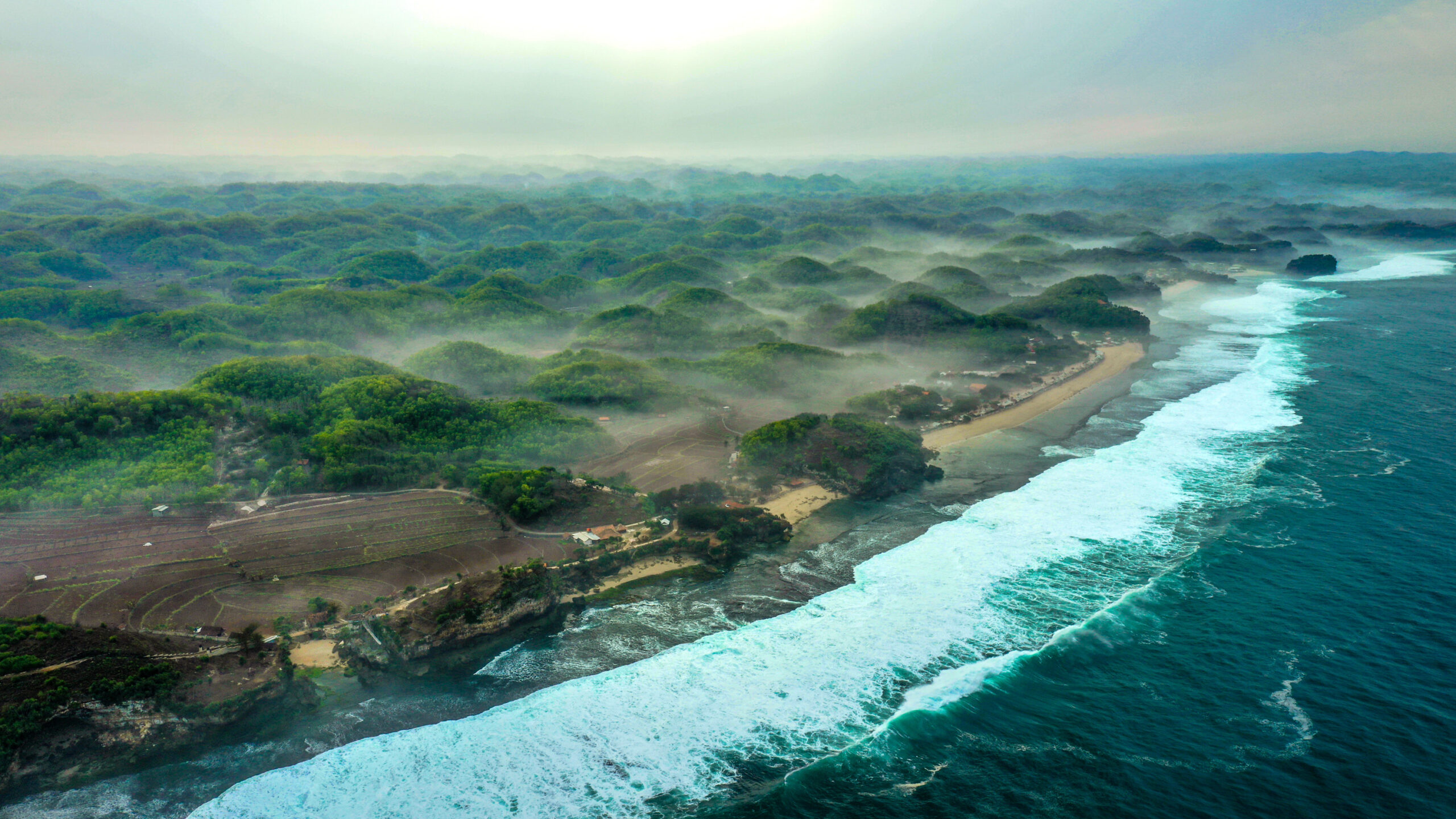 Pepohonan, air dan masyarakat berkelanjutan