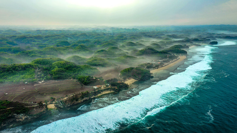 How trees and water fuel sustainable communities