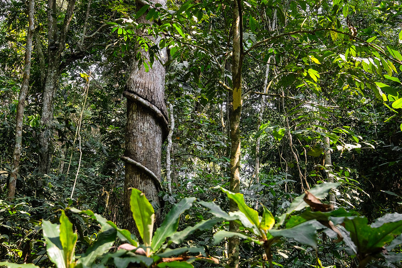 Take climate action on Earth Day