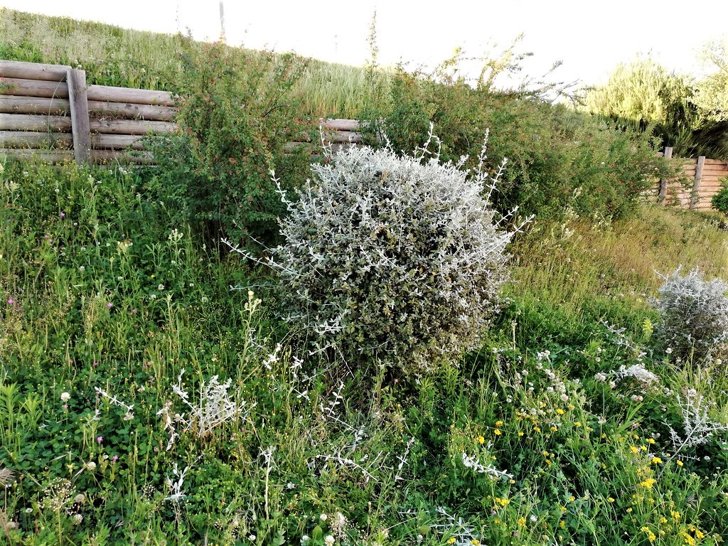 Lecciones de la pandemia para un planeta saludable