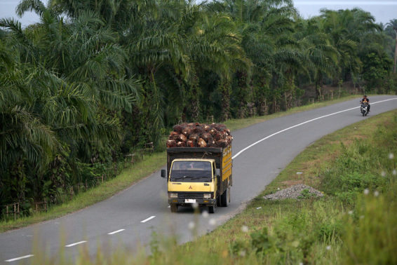 A truck laden with fruit drives down a highway