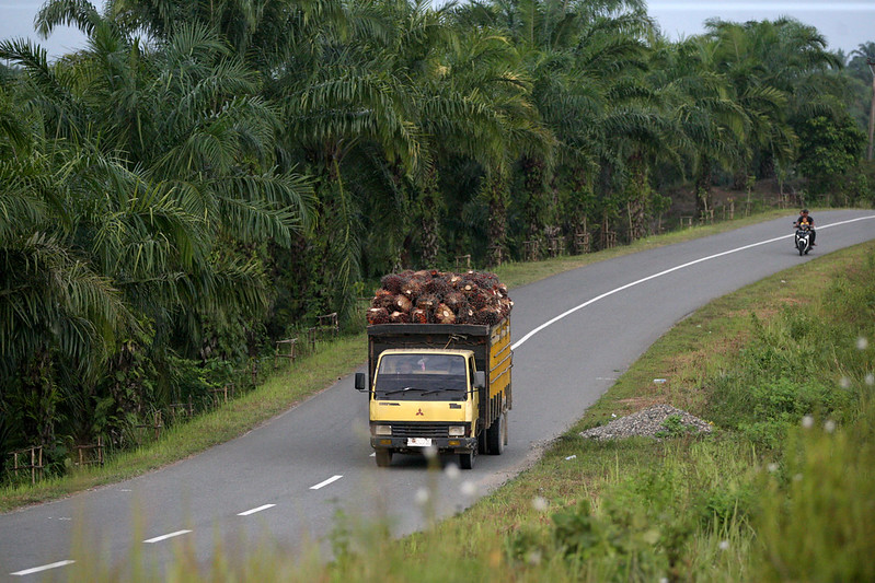 A truck laden with fruit drives down a highway