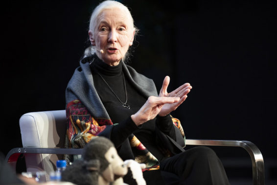 Jane Goodall discusses food security and the growing human population