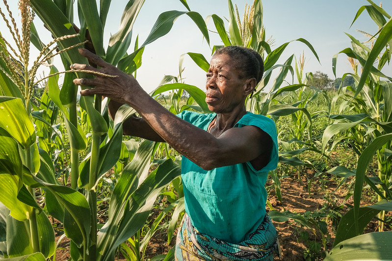 The emergence of the coronavirus has put the world on the brink of a major famine