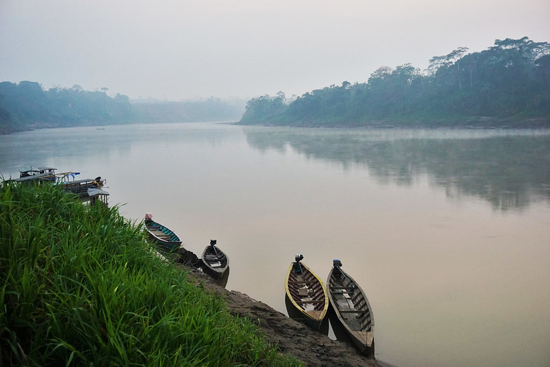 Boats hug the shoreline on a river