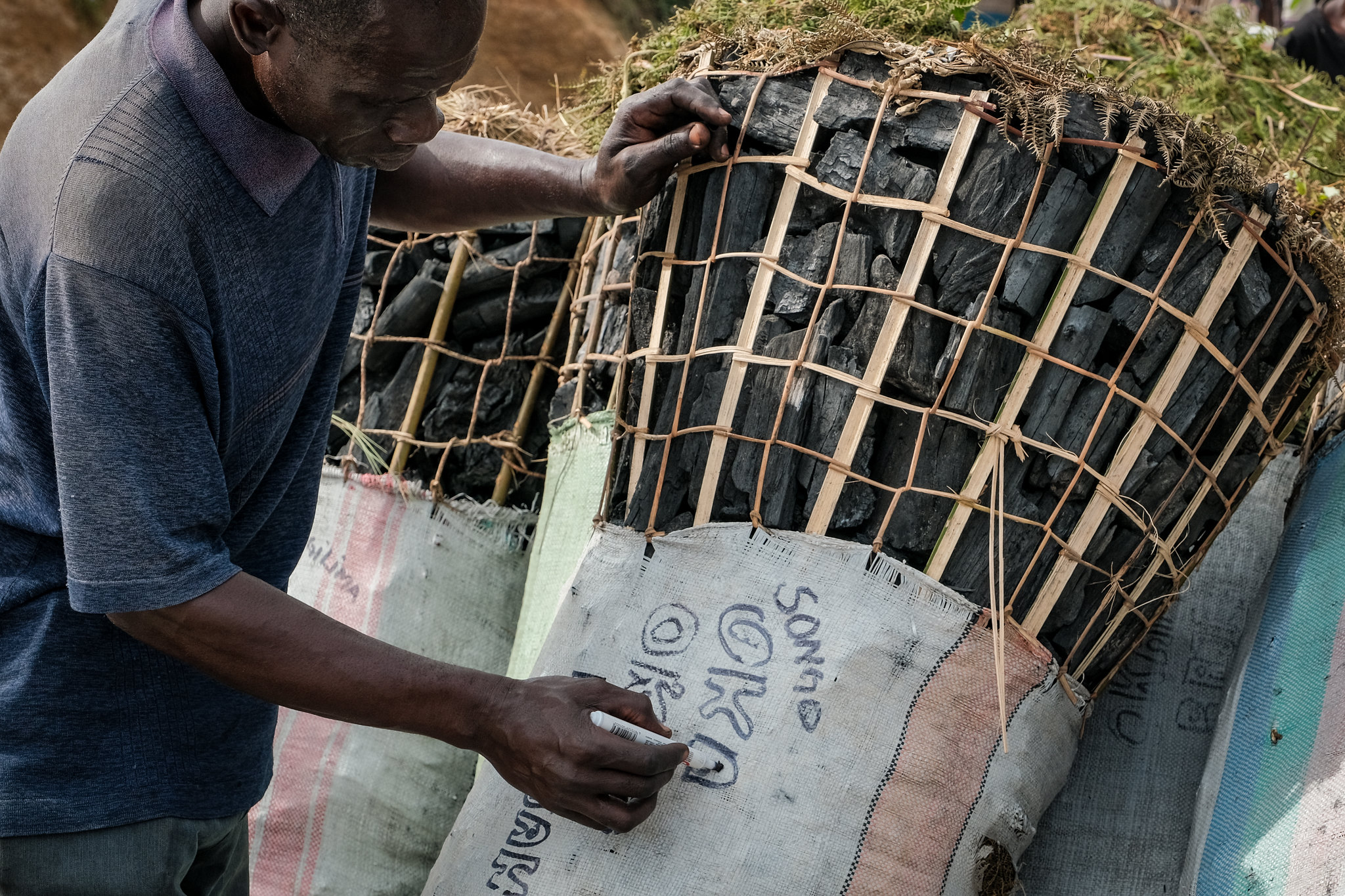 Le temps presse : vers une gestion durable du bois énergie en Afrique subsaharienne