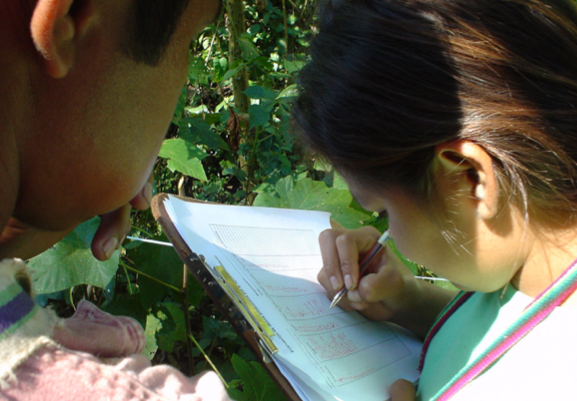 Collaborative monitoring for effective forest landscape restoration