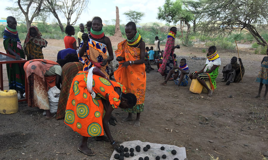 Why the energy and food nexus is critical in refugee context