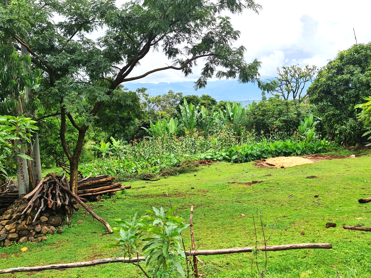 Ethiopia: Farmers make the shift to agroecology – but not without support