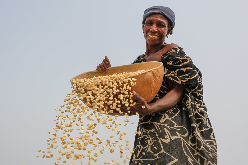 A woman shakes maize kernels out of a large bowl
