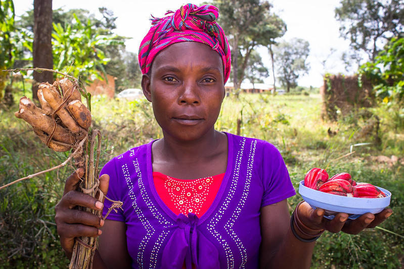Nutrition goals should guide design of food production landscapes, researchers say