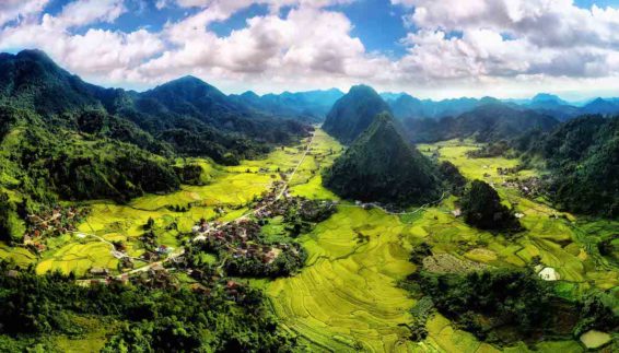 A lush green landscape in Vietnam