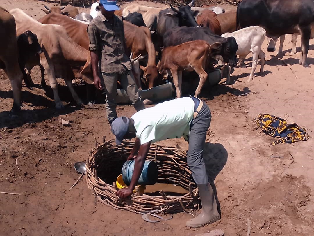 Reflections on landscape challenges and opportunities in Kalomo