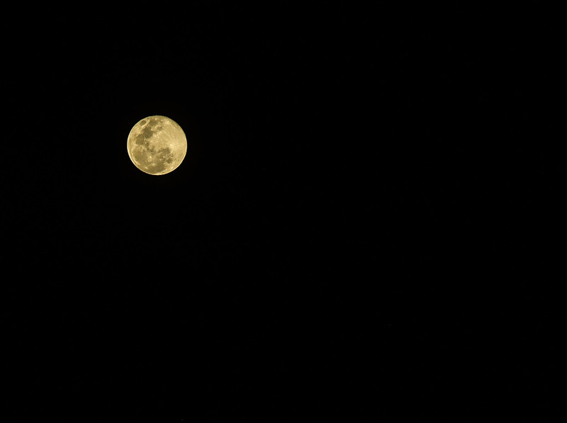 Full moon in the night sky