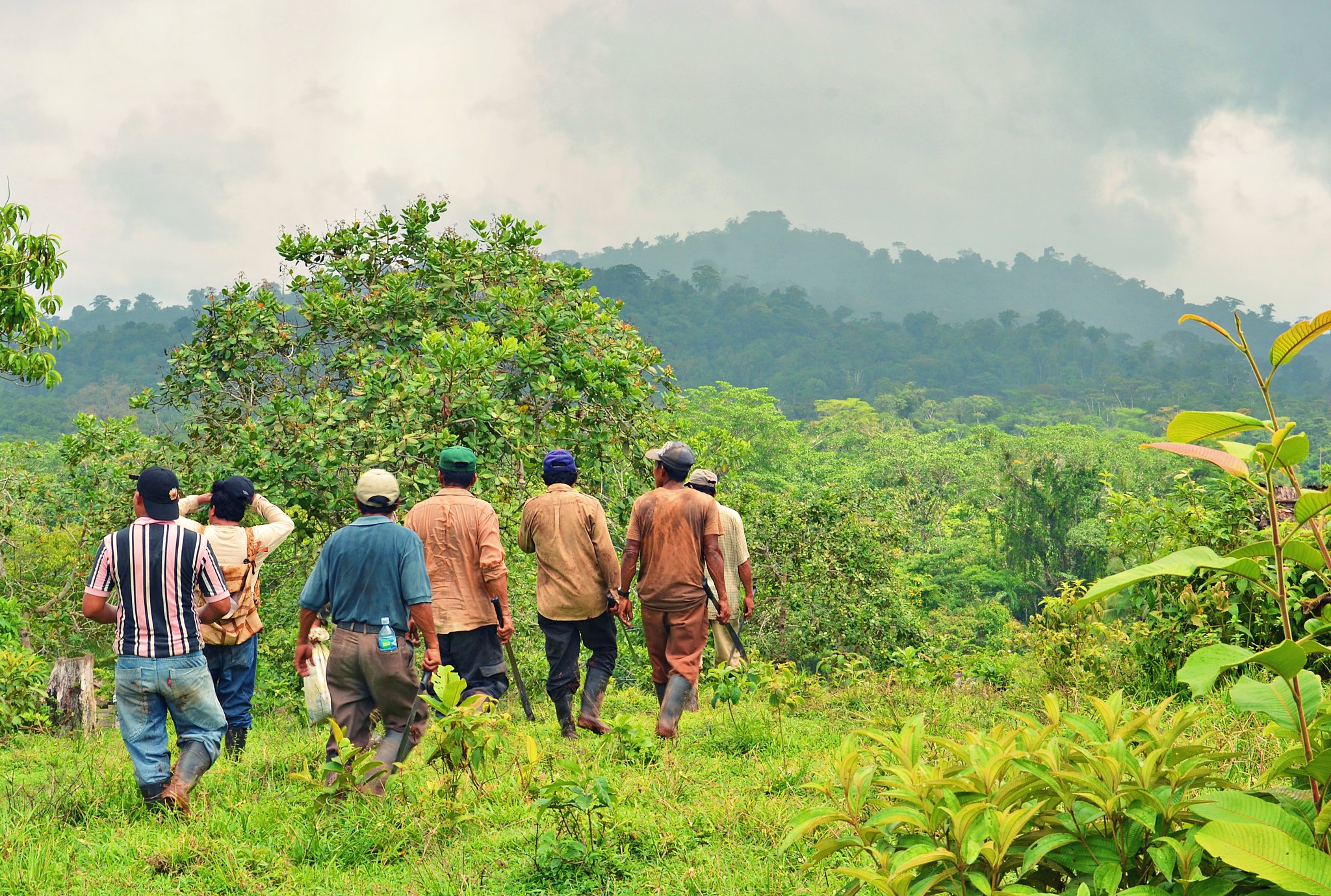 “Aprender a aprender” es fundamental para los investigadores en el campo