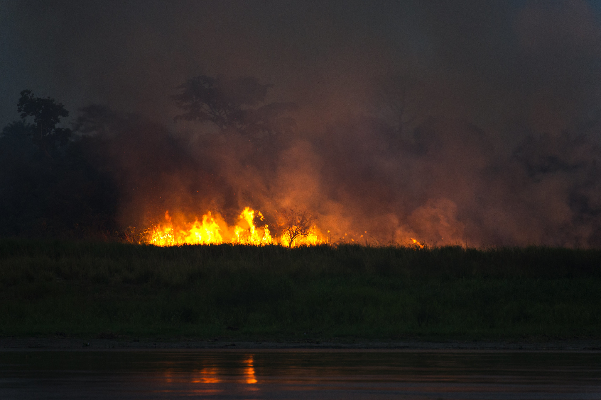 T+J: Di seluruh dunia, risiko kebakaran hutan harus segera diatasi