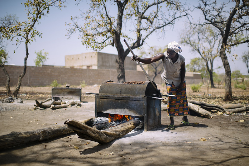 Insecurity, COVID-19 hit women-led shea sector on eve of Africa free trade deal