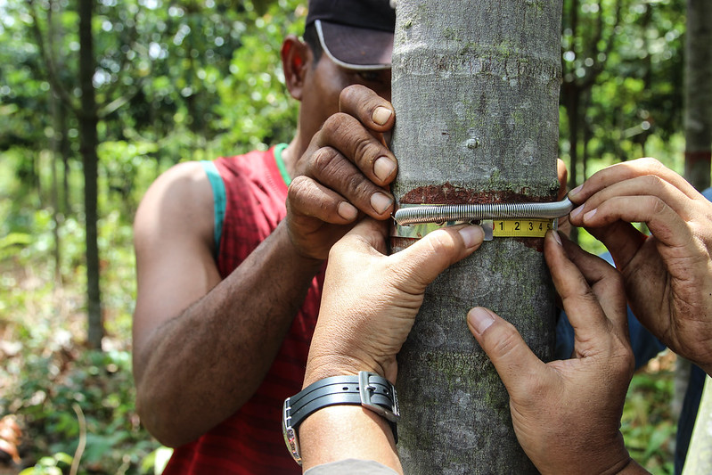 COVID-19 pandemic offers opportunity to rethink status quo conservation efforts