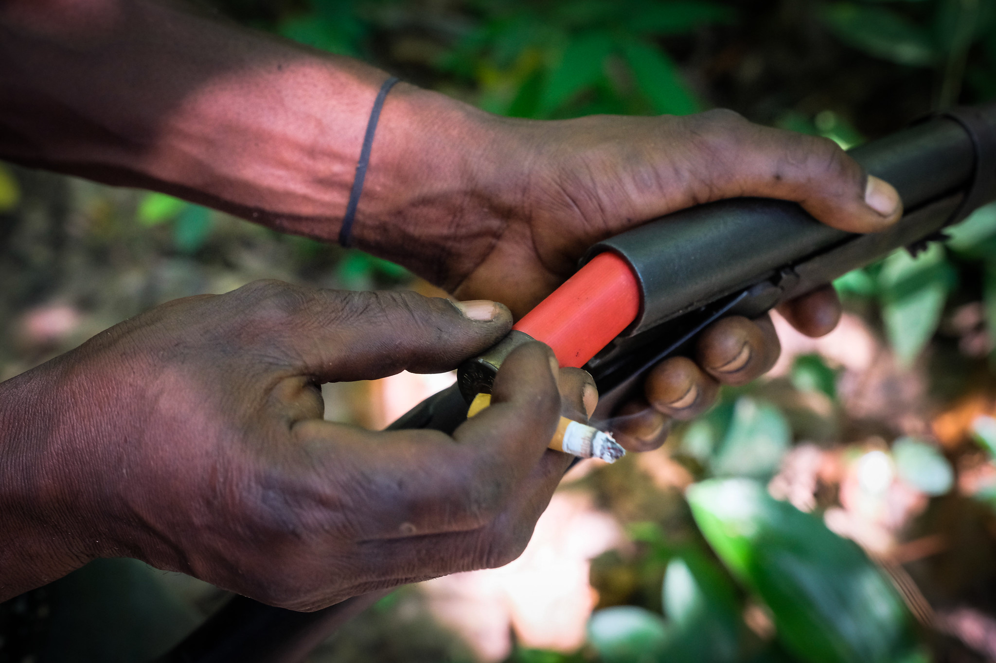La sécurité alimentaire des communautés dépendantes de la viande sauvage est mise en péril par les lampes de poche LED