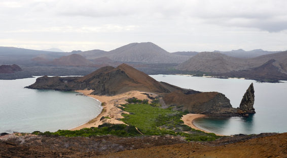 Image of Galapagos