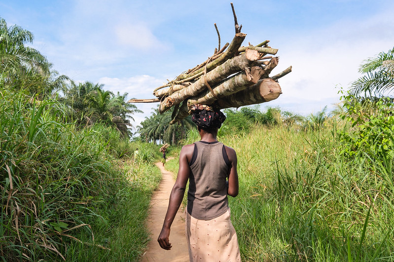 Central Africa’s forests: Carbon heroes under threat