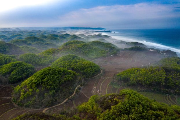 Coastal karst landscapes: the beauty of the Baron beach in the morning. Photo by Faizal Abdul Aziz/CIFOR