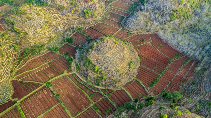 Conical hill surrounded by the dryland paddy fields. Photo by Muhammad Sidik/CIFOR