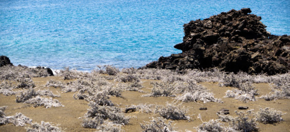 Paisajes terrestres y marinos