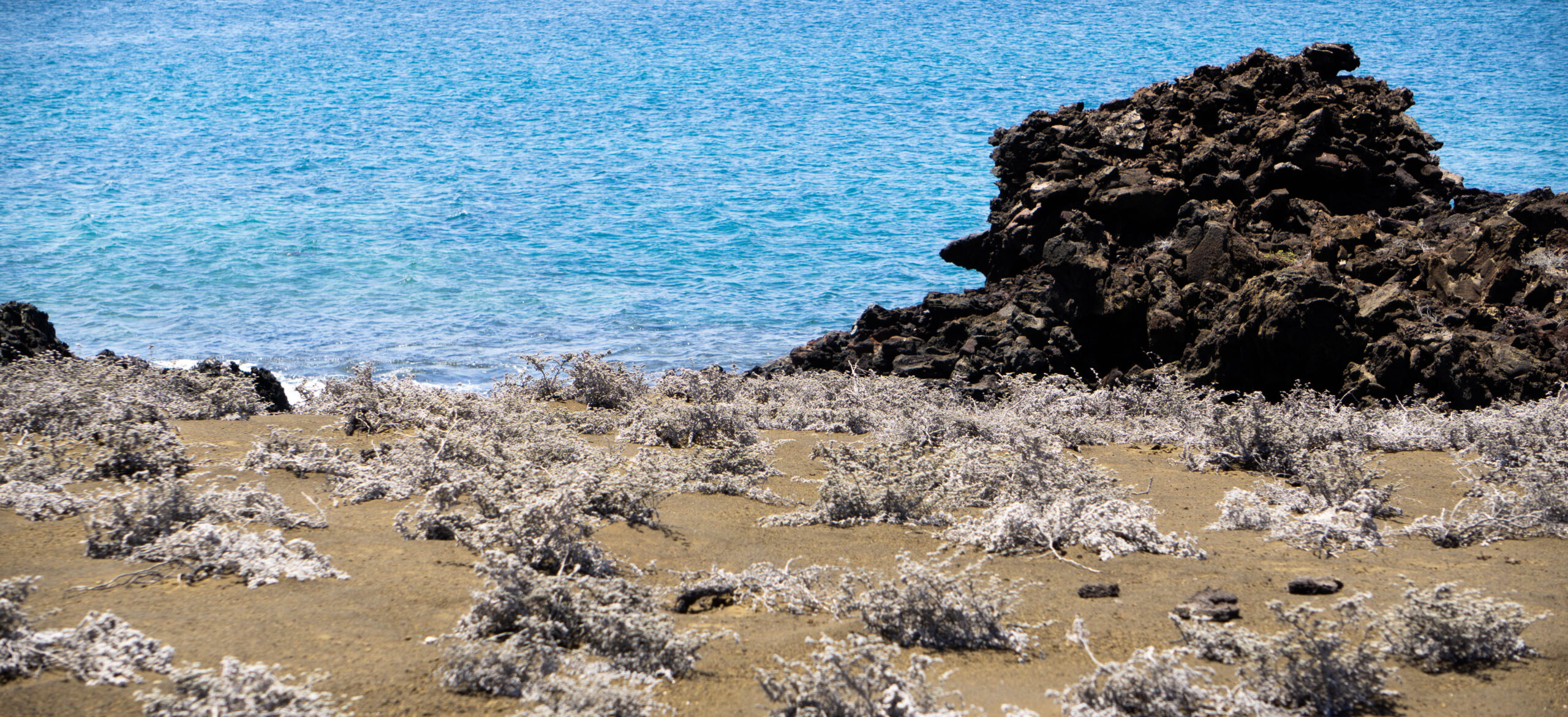 El enfoque de paisajes terrestres y marinos le da ventaja a las Galápagos a la hora de enfrentar la crisis del COVID-19