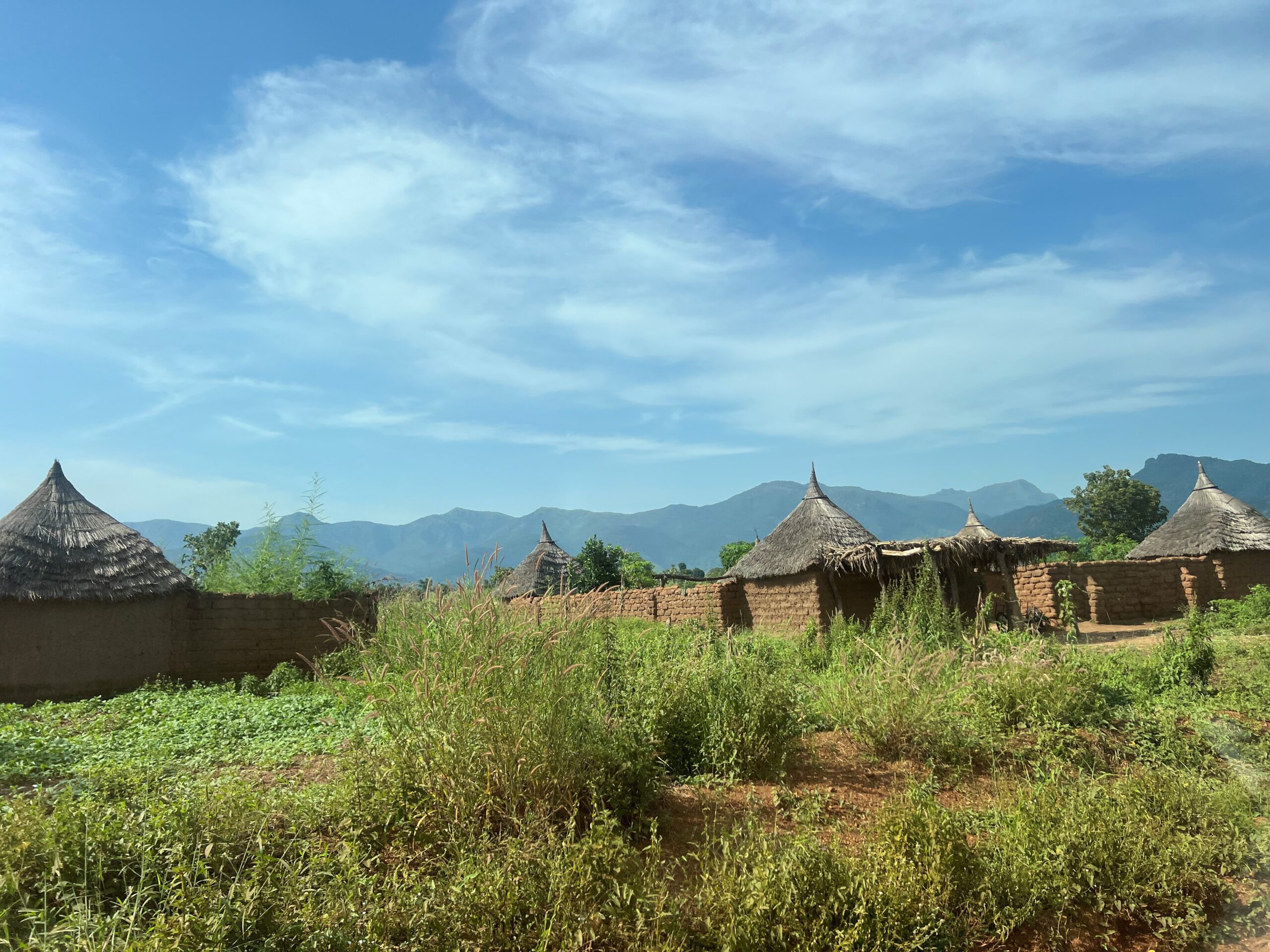 Who are the actors leading climate action in Cameroon’s northern regions?