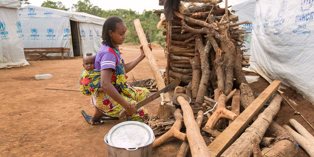 Empowering refugees and host communities to protect Cameroon’s forests