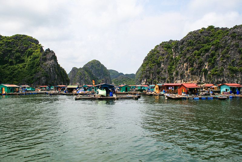 Q+A: Transforming payments for forest environmental services in Vietnam