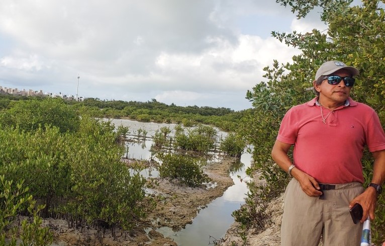 Hidrología, sedimentos y vegetación: los tres factores claves para restaurar manglares con éxito