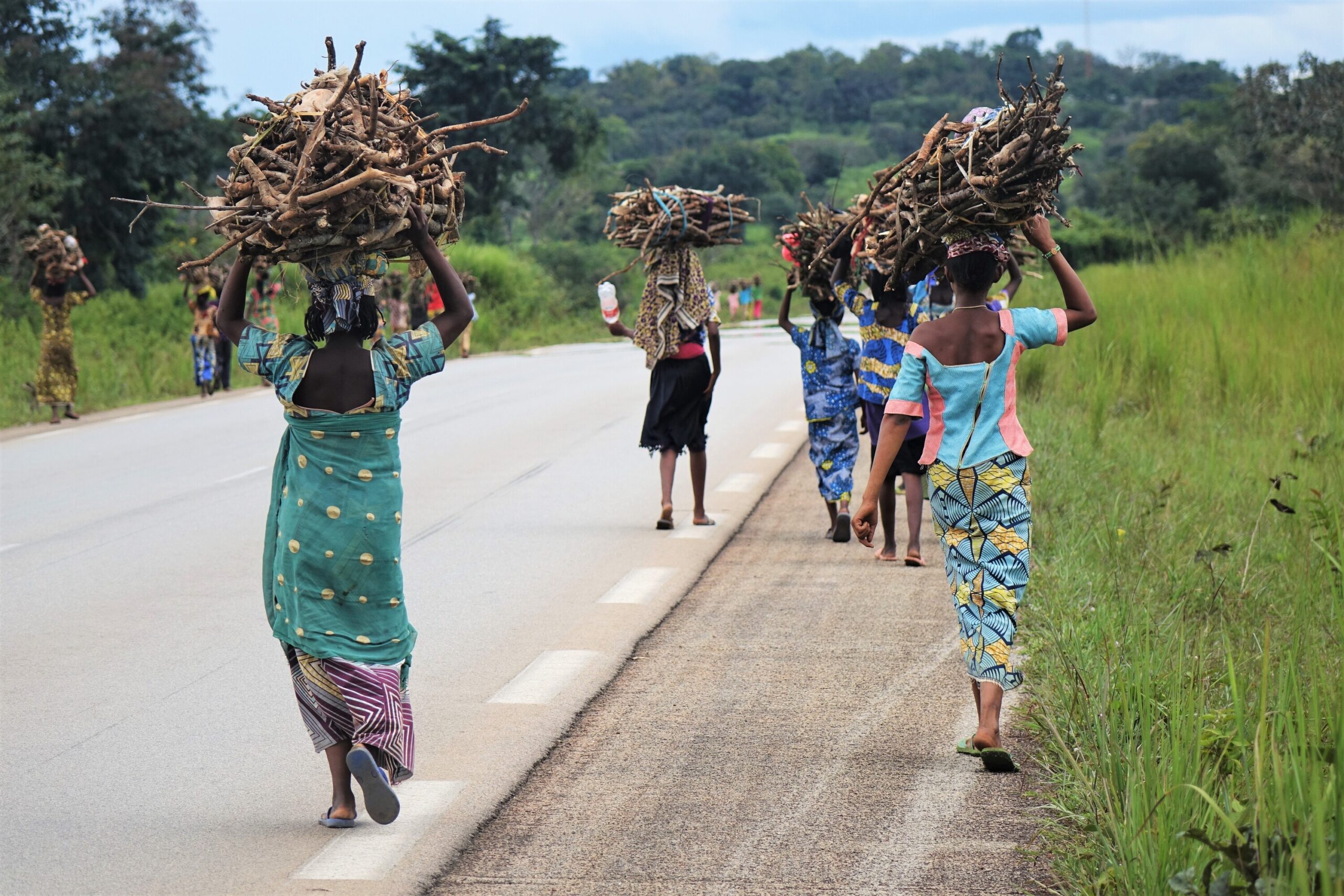 Firewood collection a heavier burden for women in refugee settings