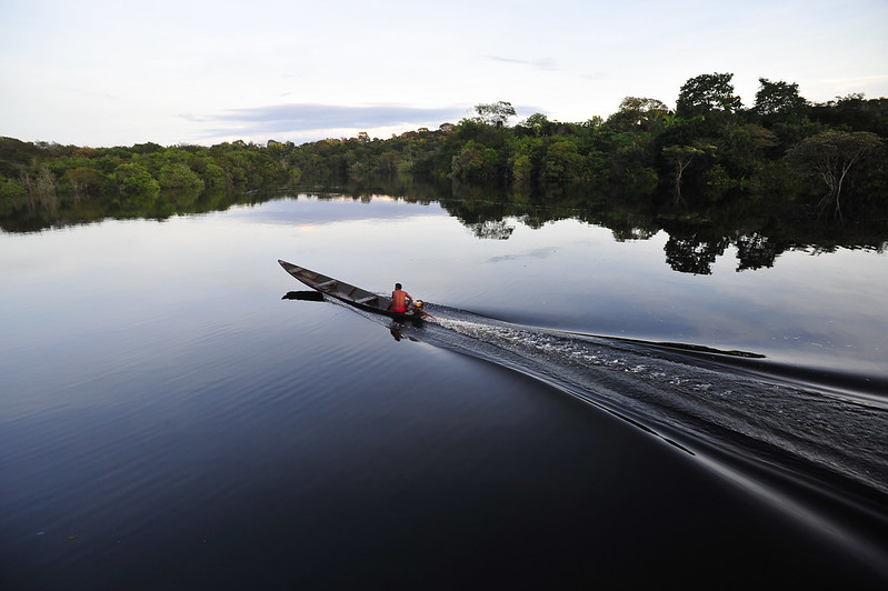 Global mega-trends impact forest communities, scientists find
