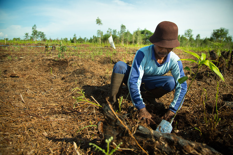 Dig it: Unearthing the importance of soil
