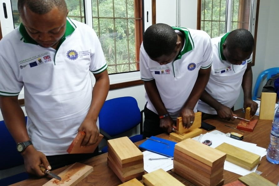 Building skills to help monitor cross-border timber trade in Africa’s Great Lakes region