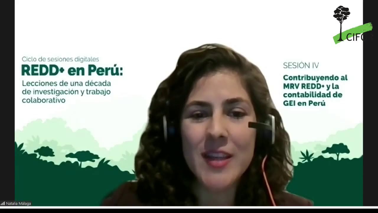 Sesión IV. Contribuyendo al MRV REDD+ y contabilidad de GEI en el Perú