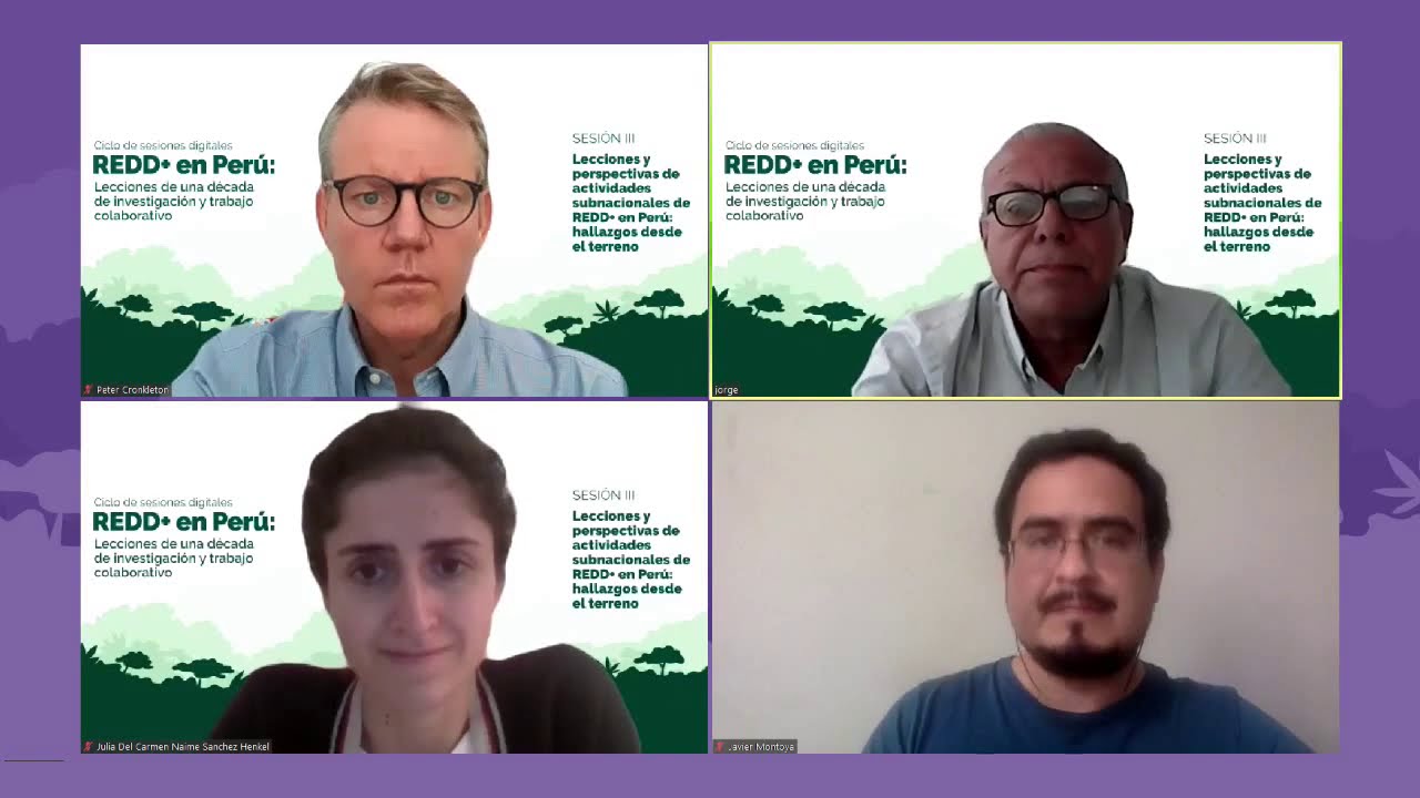 Sesión III. Lecciones y perspectivas de actividades subnacionales de REDD+ en Perú