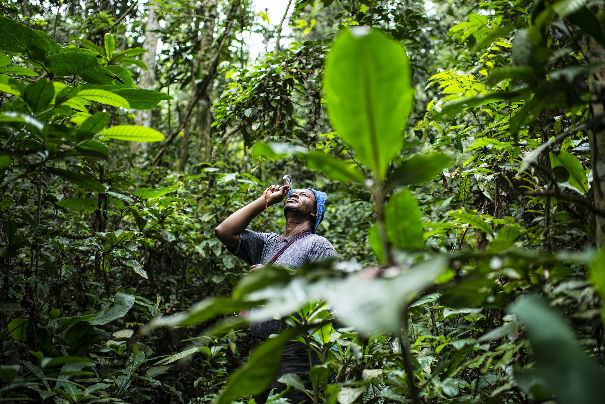 Dans le bassin du Congo, l’irrégularité des précipitations et des débits de l’eau menacent les moyens de subsistance des populations rurales