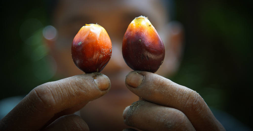 ComMODO: Permainan Strategi Kelola Lahan untuk Keberlanjutan Ekosistem