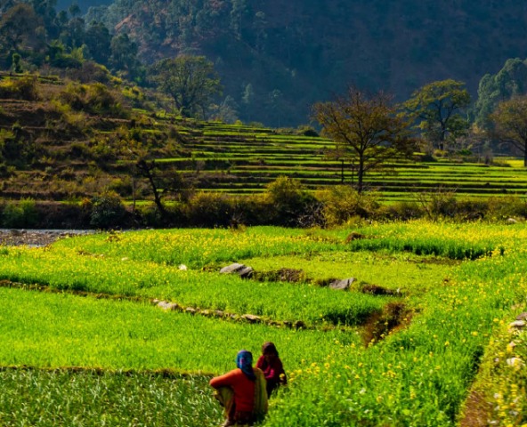 Landscape restoration initiatives in India benefit rural communities, report says