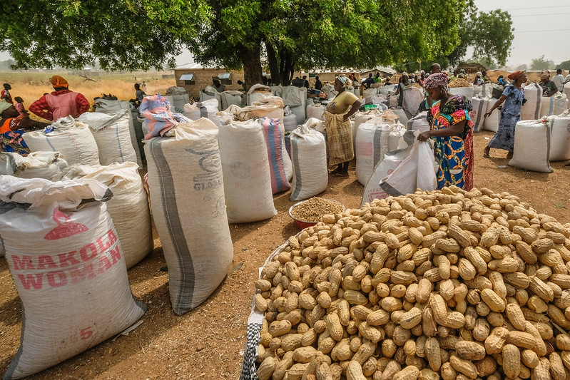 Selective memories: The historical roots of environmentalism