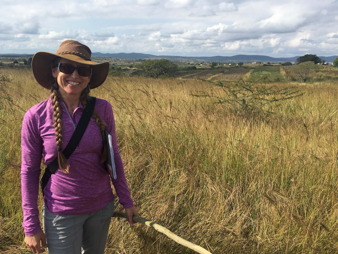 Building soil and ecosystem health for food and nutritional security: A worm’s eye view