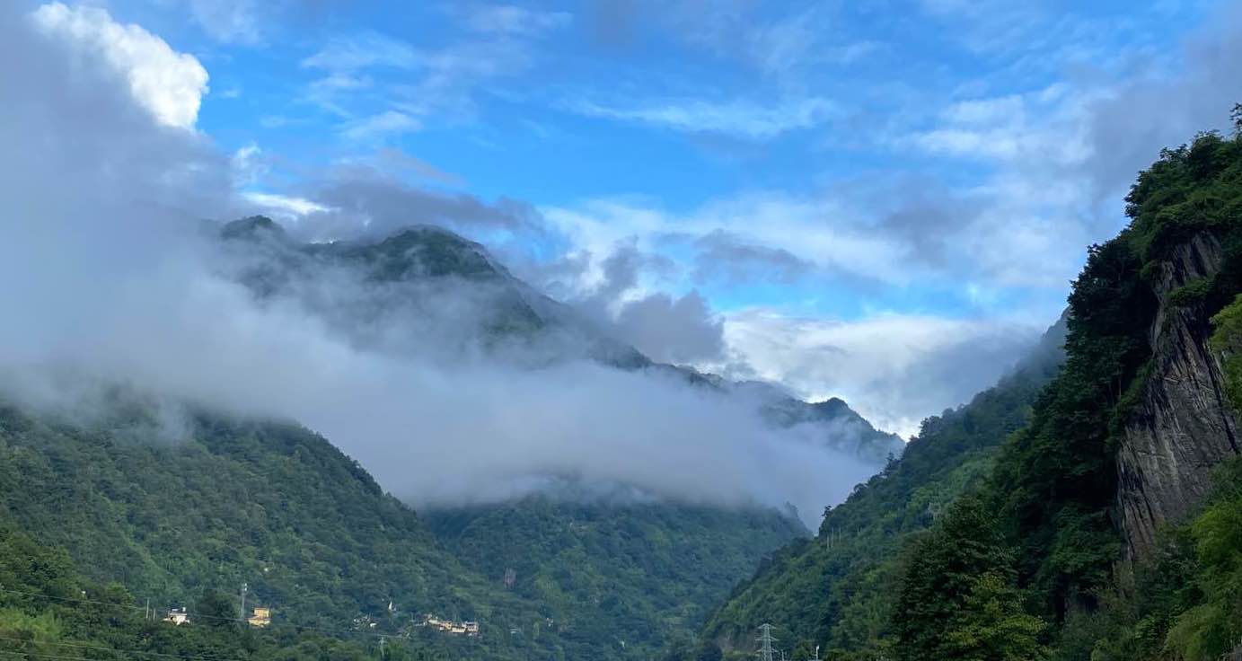 In China, de-collectivization of forest property rights yields mixed results