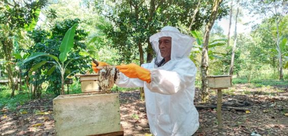 A beekeeper wearing protective gear works with bees