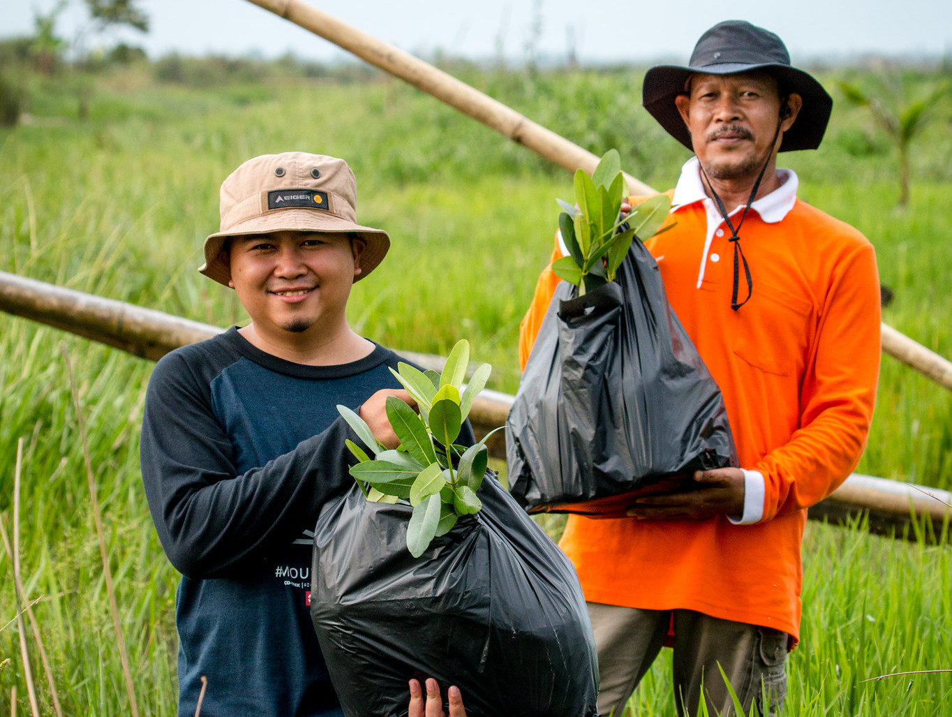 Serba Serbi Tanaman Penghasil Bioenergi di Lahan Terdegradasi