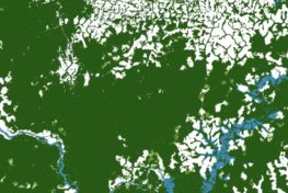 Image shows a satellite image of deforestation in Cameroon in green, white and blue